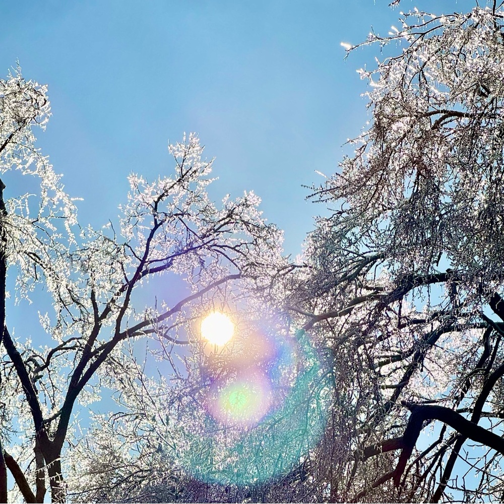 Meet your Posher, Jenifer